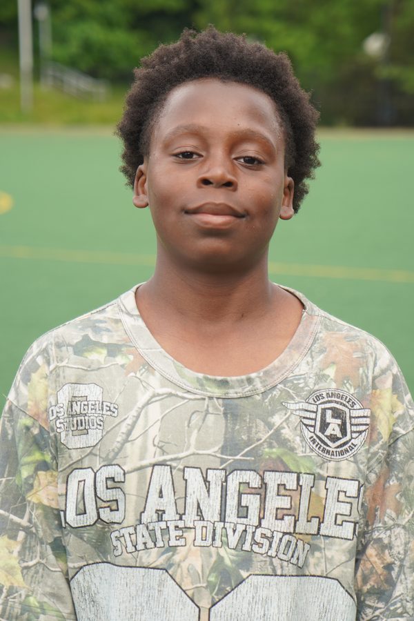 Vincent Alexis
